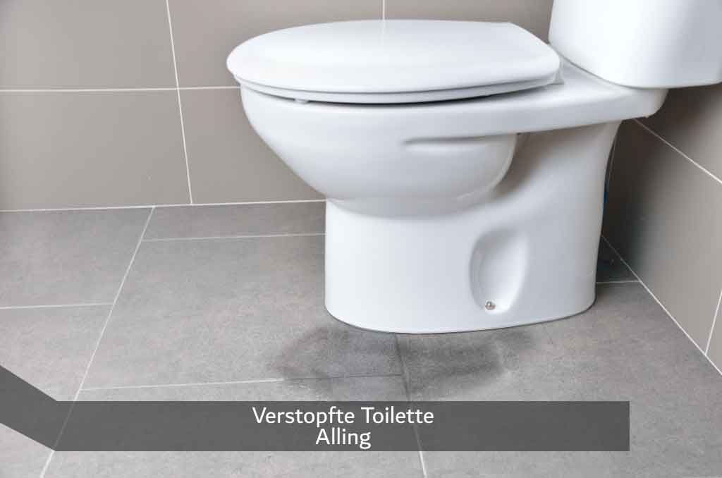 Verstopfte Toilette Alling