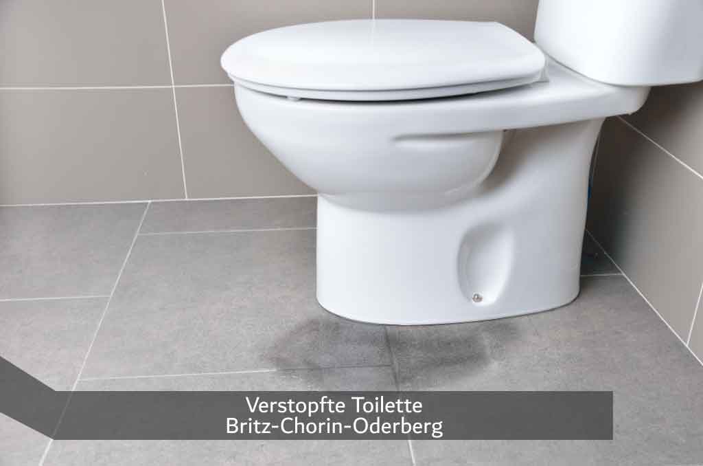 Verstopfte Toilette Britz-Chorin-Oderberg