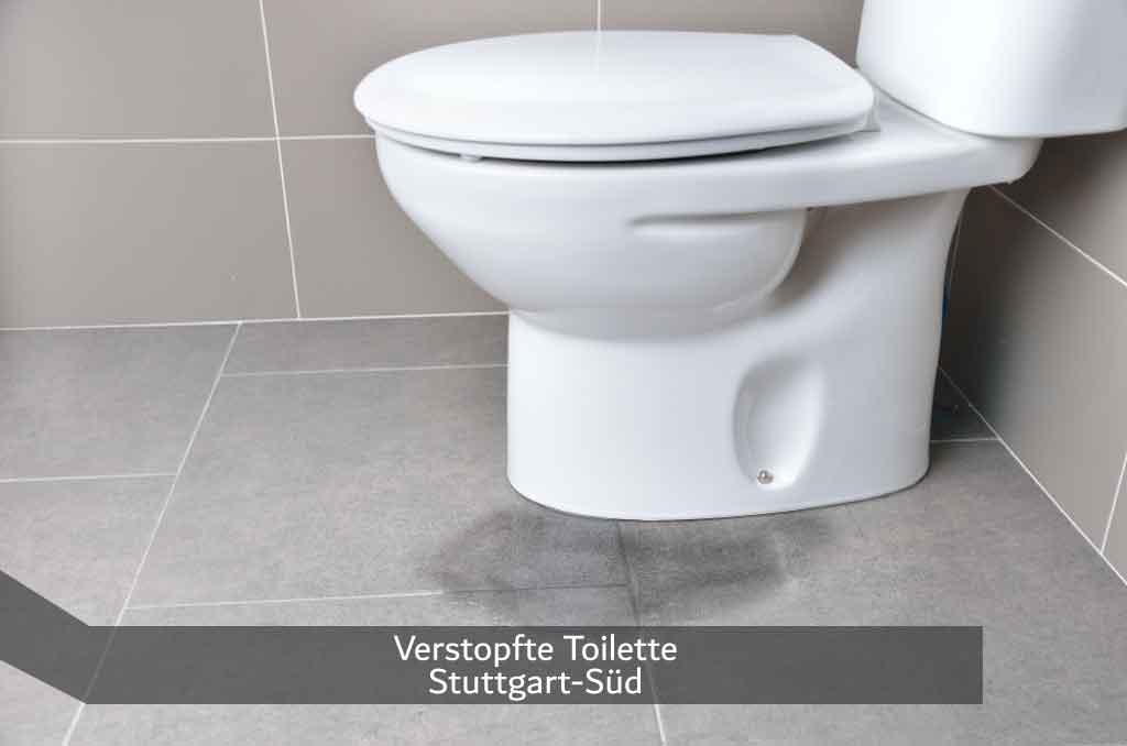 Verstopfte Toilette Stuttgart-Süd